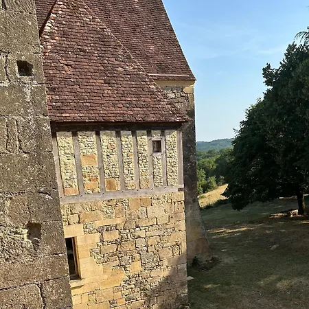 Sireuil - Lasserre De L'ougal Manor * Tursac